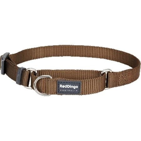 RED DINGO Red Dingo MC-ZZ-BR-ME Martingale Dog Collar Classic Brown; Medium MC-ZZ-BR-ME